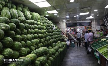 خدمات رسانی بازارهای میوه و تره‌بار 27