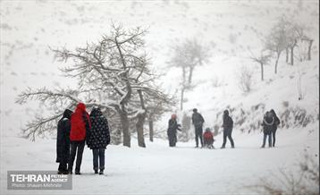 بارش برف در تهران 7