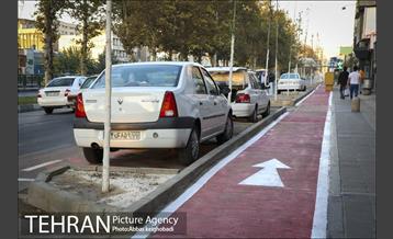 پارک خودرو‌ بین درختان چنار 15