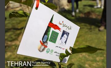 مراسم روز درختکاری در منطقه 7