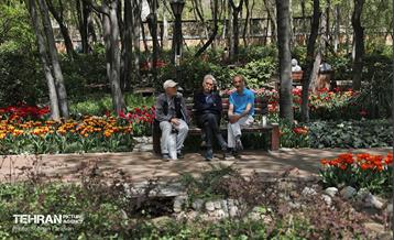 باغ ایرانی میزبان لاله‌ها 42