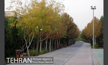 بوستان نهج البلاغه (فاز2) 7