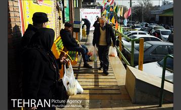 بازدید شهردار تهران از بازار میوه و تره بار جلال آل احمد 6