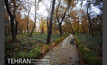 پاییز در پارک شهر 5