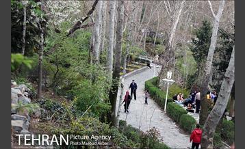 بوستان جمشیدیه در نوروز  2