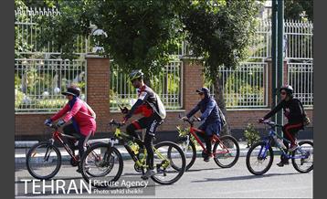 تور دوچرخه سواری خانوادگی منطقه 11 10