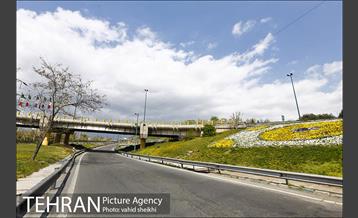 روز طبیعت متفاوت در شهر تهران 2 7