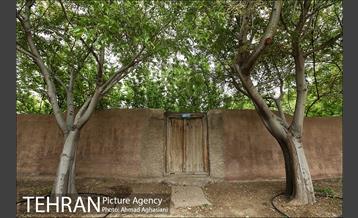 باغ گیاه‌شناسی ملی ایران 4