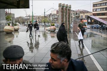 بارش باران بهاری در تهران 12