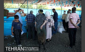 مرکز عرضه دام بهداشتی به مناسبت عید قربان در منطقه 14