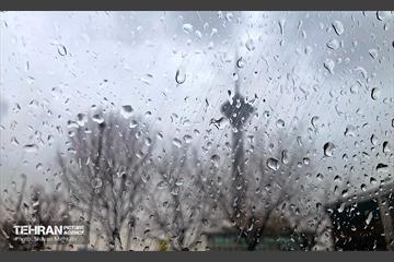 بارش باران زمستانی در تهران 37