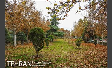 پاییز در بوستان رازی 23