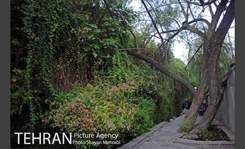 بوستان نهج البلاغه (فاز١) 16