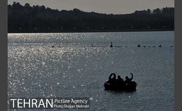 دریاچه شهدای خلیج فارس 18