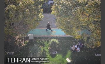 آلودگی هوای پایتخت 28