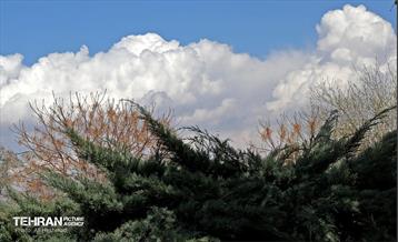 بهار در منطقه 18 15