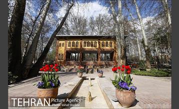 رویش گل های لاله در باغ ایرانی 31