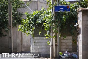 ده ونک 33