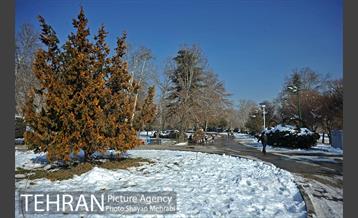 فصل زمستان در بوستان ملت 36