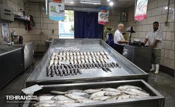 خدمات رسانی بازارهای میوه و تره‌بار 12