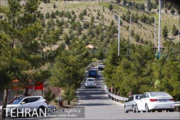 بوستان جنگلی کوهسار 11