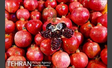 خرید شب یلدا 13