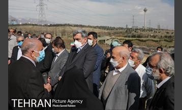 مراسم درختکاری در بوستان پردیسان 11