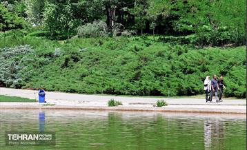 طبیعت بهاری در باغ ملی گیاهشناسی ایران 6