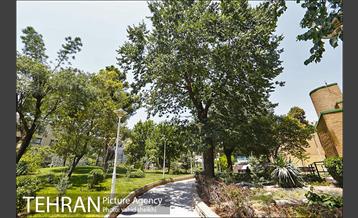 بوستان شفق 4