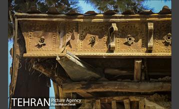 تاریخ رها شده؛ باغ کیهانی 16