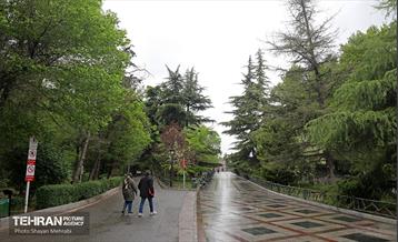 بارش باران بهاری در تهران - 2 40