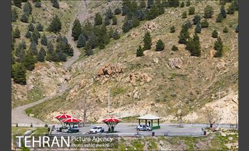 بوستان جنگلی کوهسار 29