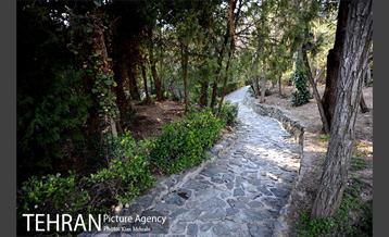 بوستان جمشیدیه (باغ سنگی جمشیدیه) 28