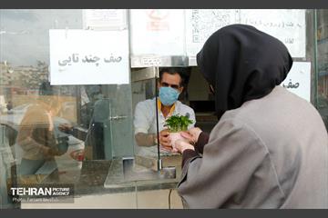 آیین محله تکانی در شهرک بیمه 12
