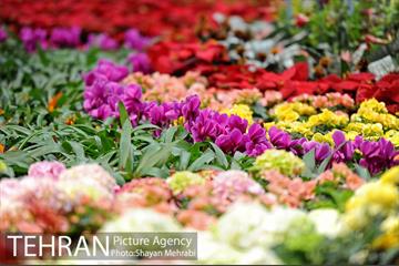 نمایشگاه گل و گیاه در بوستان گفتگو 11