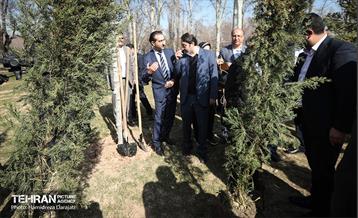 سنت حسنه درختکاری، یادبود شهدای منطقه6