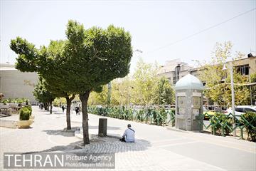 زیر آفتاب سوزان 4