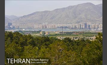 پارک چیتگر 13