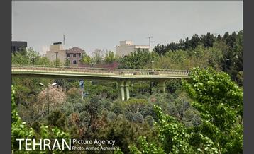 پل جدید بوستان آب و آتش 25