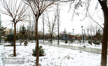 روز برفی در منطقه 8 25