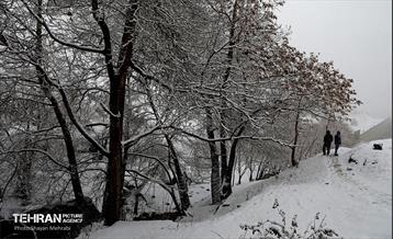 بارش برف زمستانی در تهران 19