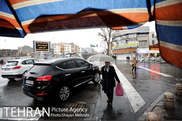 بارش باران بهاری در تهران 4