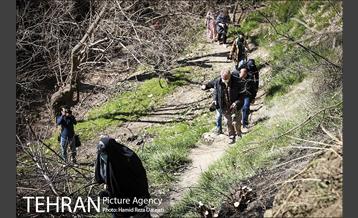 تور عکاسی پروژه های منطقه 5