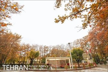 سمفونی برگ های پاییزی 5