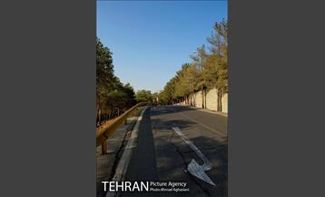 پارک جنگلی چیتگر 18