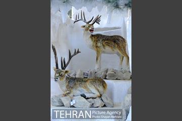 ژوراسیک پارک تهران 3