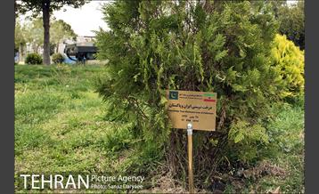 موزه جنگ (خانه تیمورتاش) 8