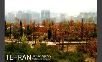 آبشار رنگارنگ 29