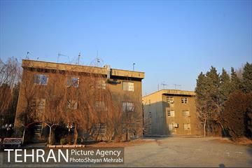 فراموش شدگان اداره منابع طبیعی در بوستان چیتگر 8