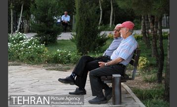 تفریح و نشاط در فاز دوم بوستان نهج البلاغه‎ 8